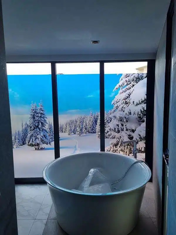 Get Cheap Wall Sticker Printing Singapore Zenith Films