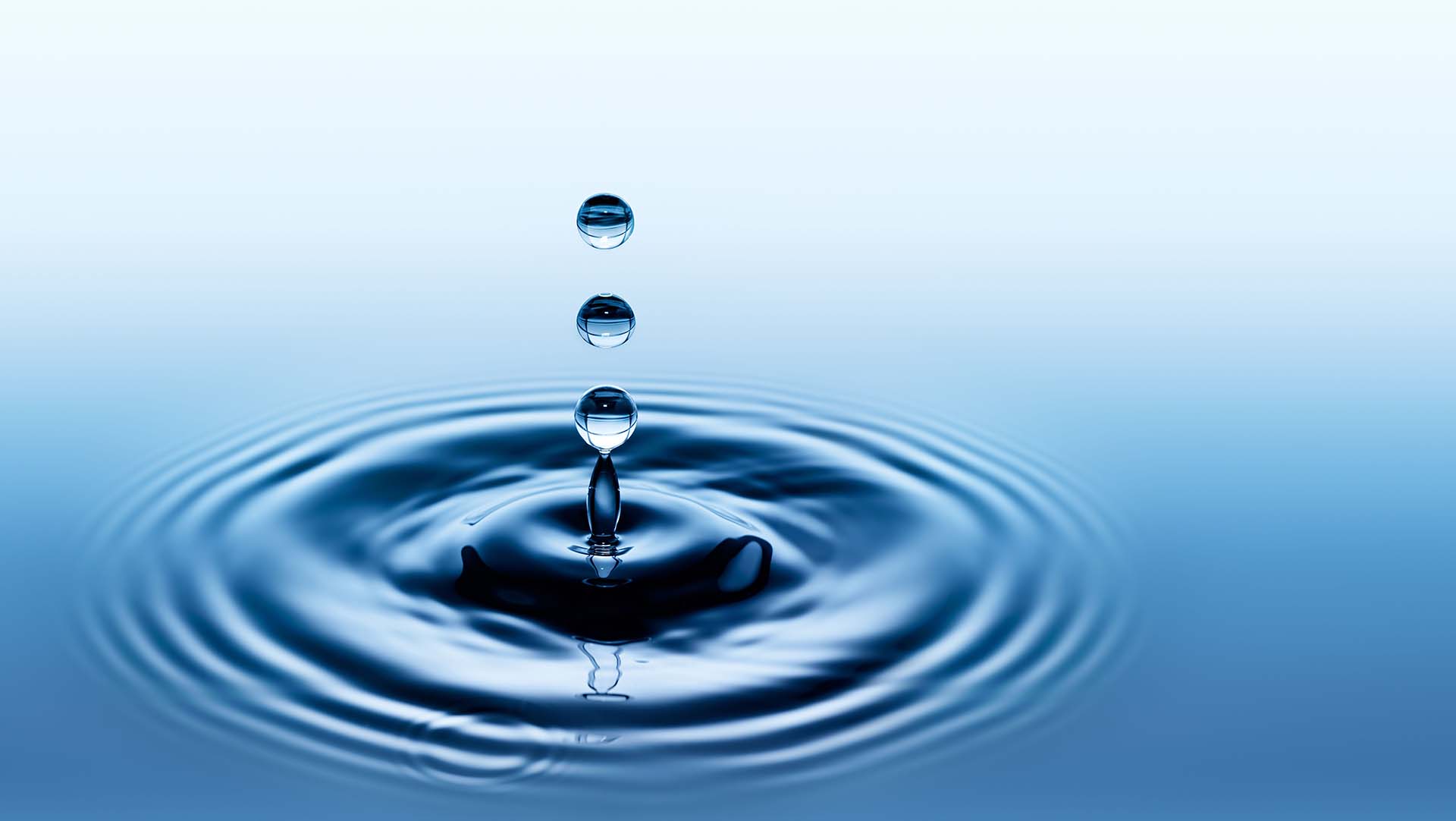 Water Purification Zenith Purification LLC