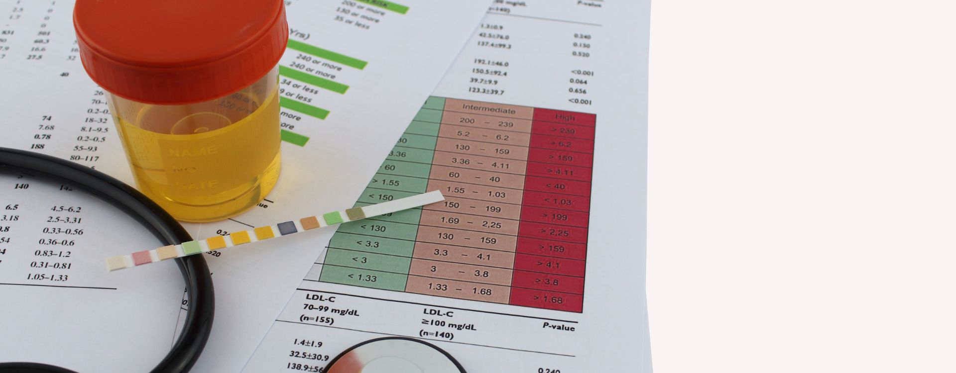 Zoetis Introduces Advanced AI Urinalysis System Zenopa