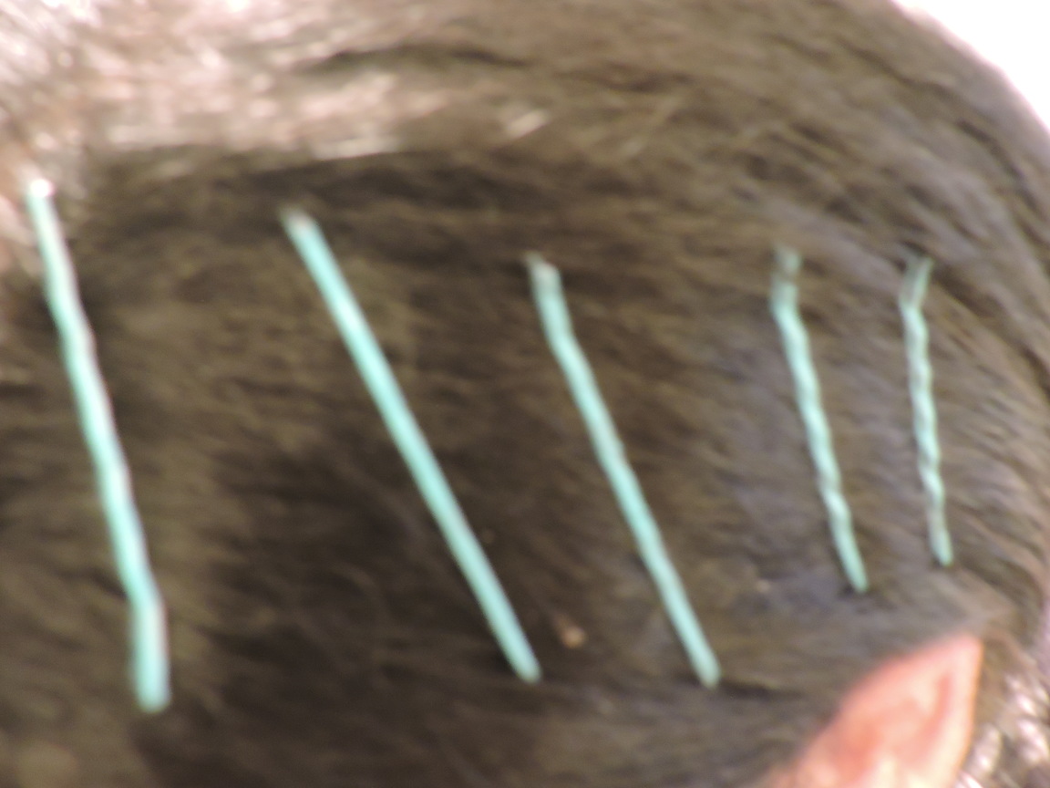 8 Ways To Decorate Your Hair With Bobby Pins! Zenzele Consignment