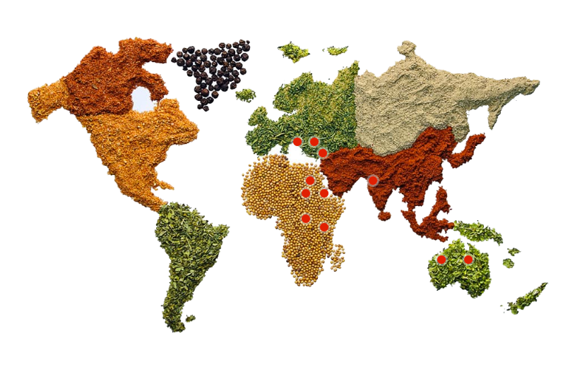 Zeppino Exporters & importers of best quality whole Spices, ground