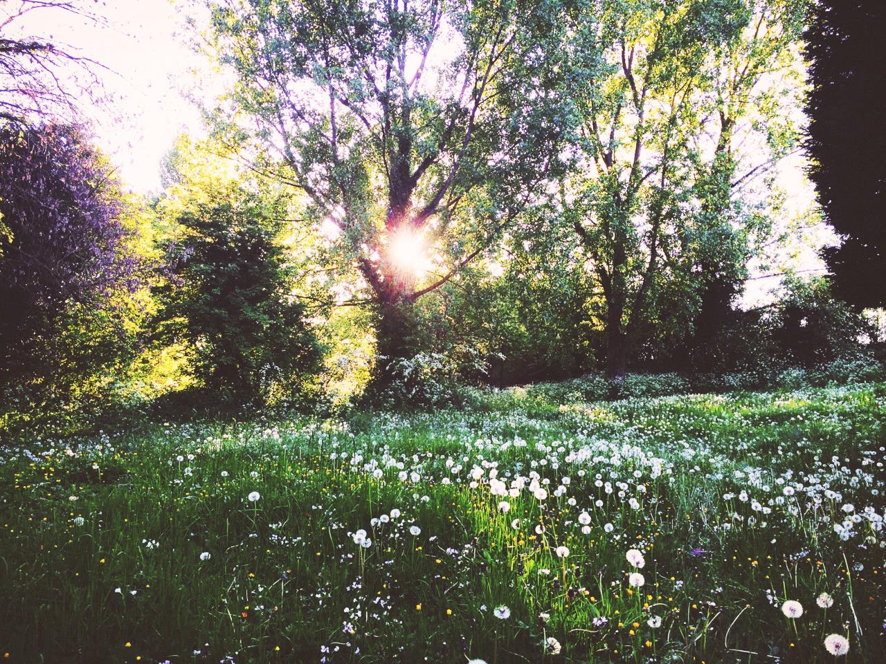 Secret Garden Rome Zero