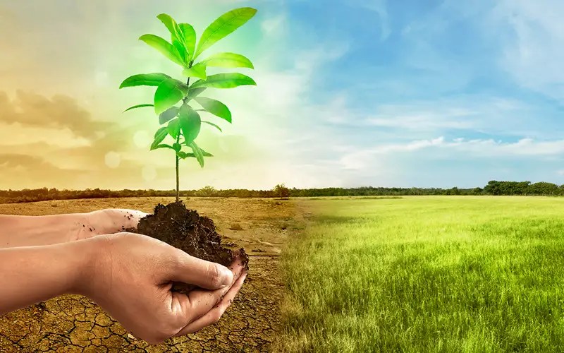 Case Studies in Successful Climate Change Adaptation and Mitigation in New Zealand Zero Carbon Act