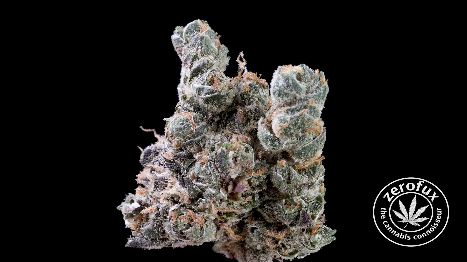 Numps Garlic Noodles by Lyfted Farms Strain Review and Smoke Session