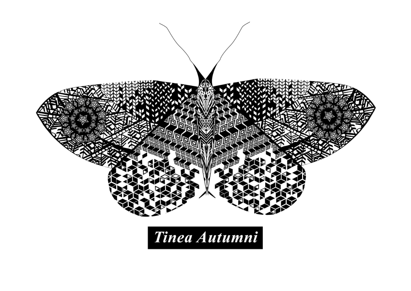 Seasonal Moths ZEROH STUDIO