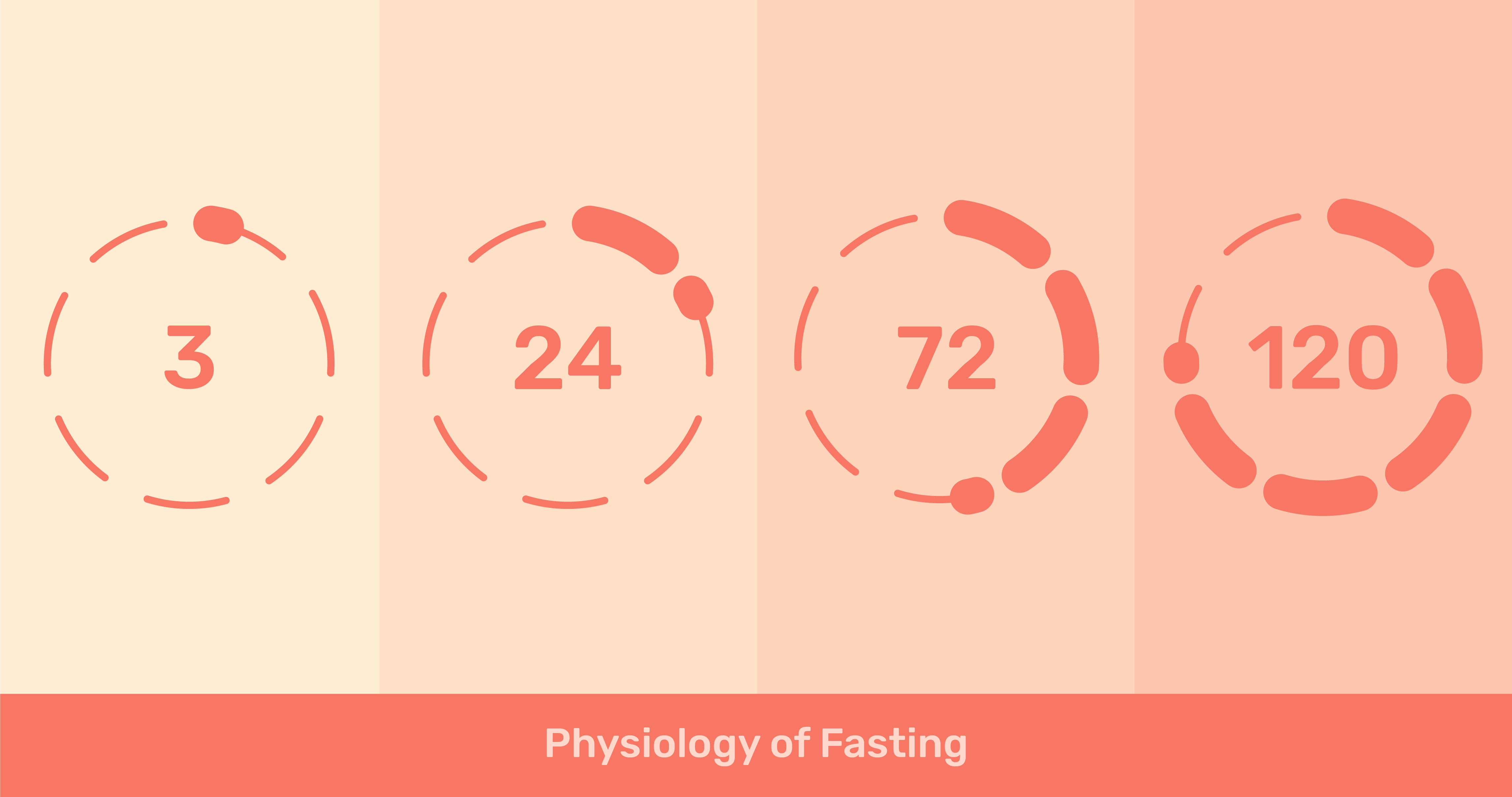 The Physiology of Fasting Zero Longevity