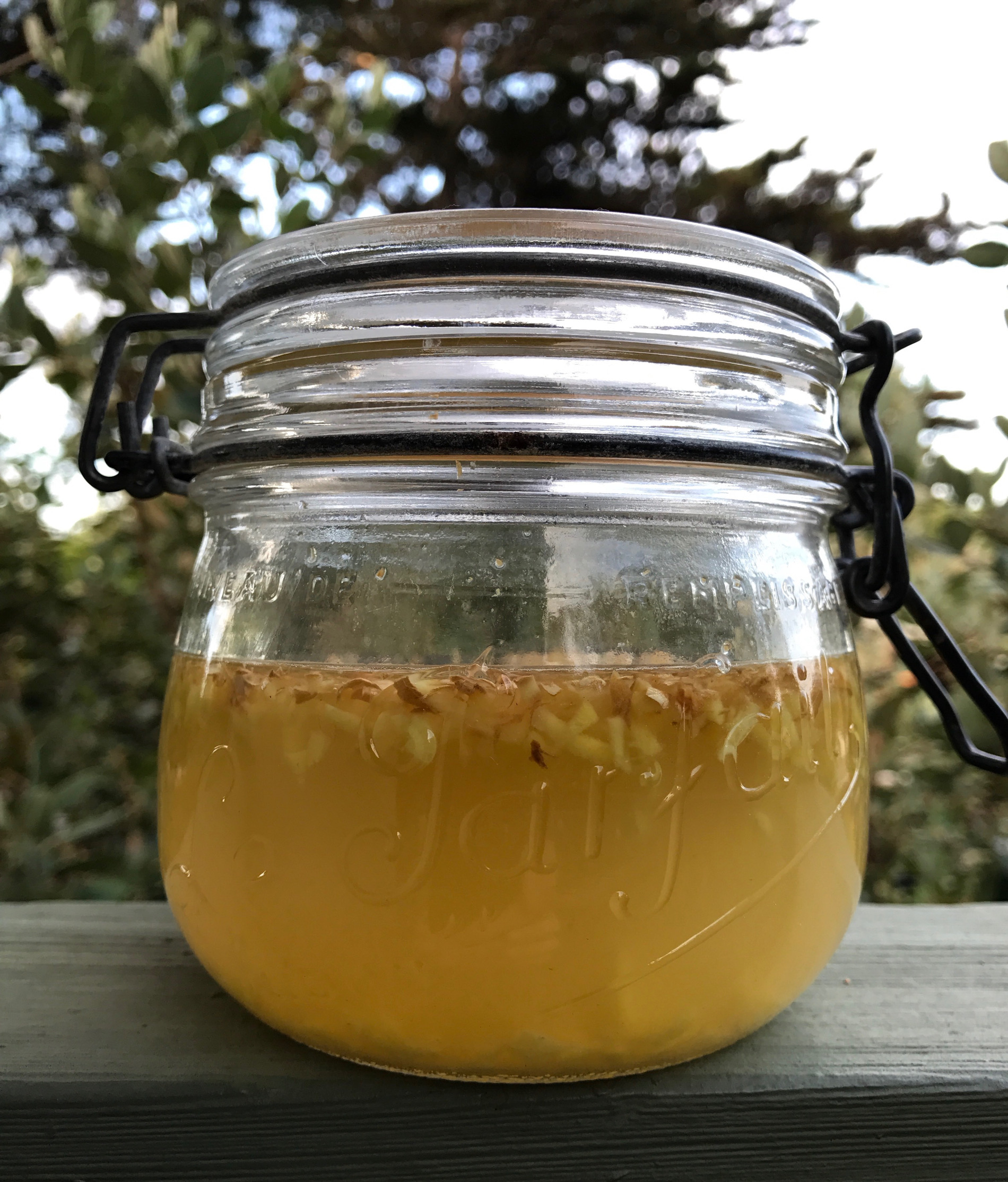 Naturally Fermented Hibiscus Soda ZeroWaste Chef