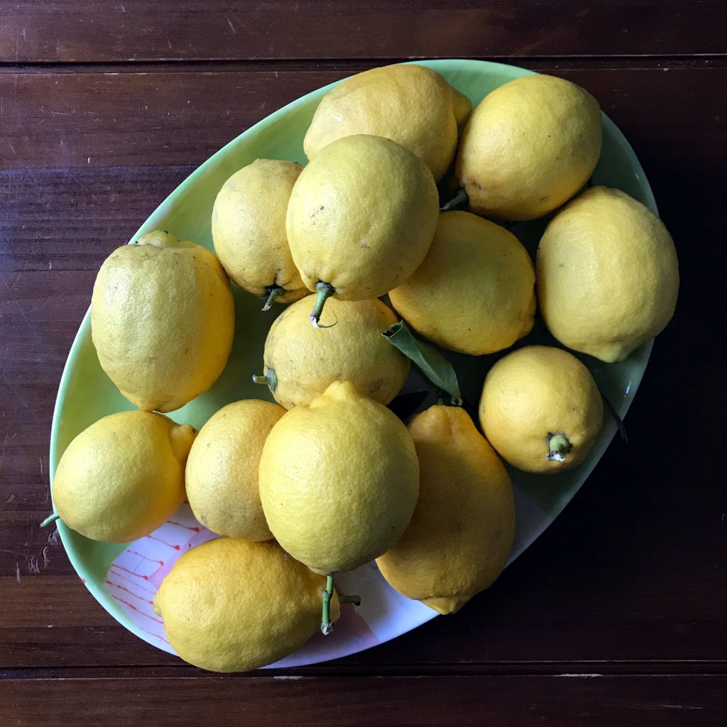 7 Easy Recipes for Lemon Season ZeroWaste Chef