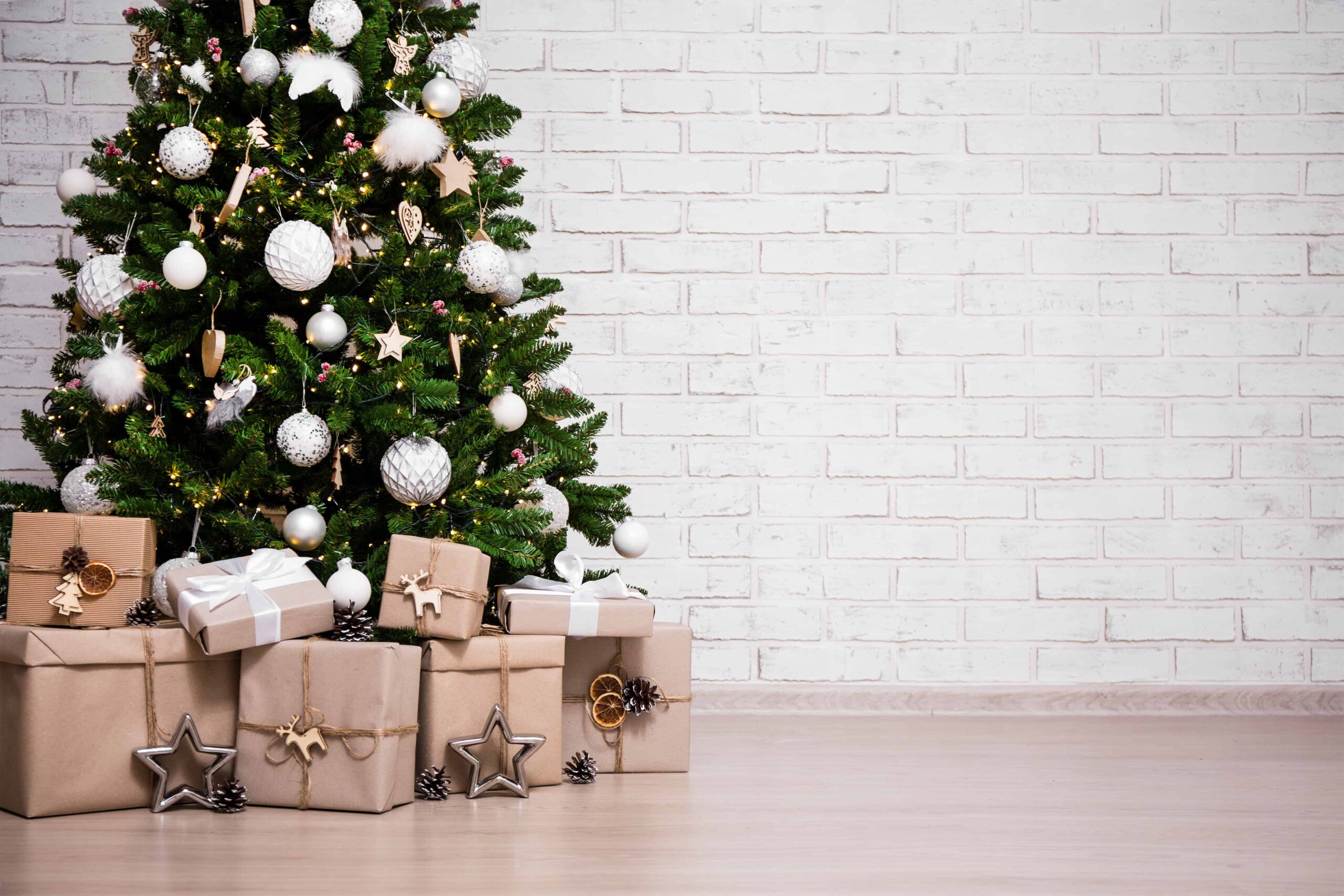 The EcoFriendly Christmas Tree How to Celebrate Sustainably!