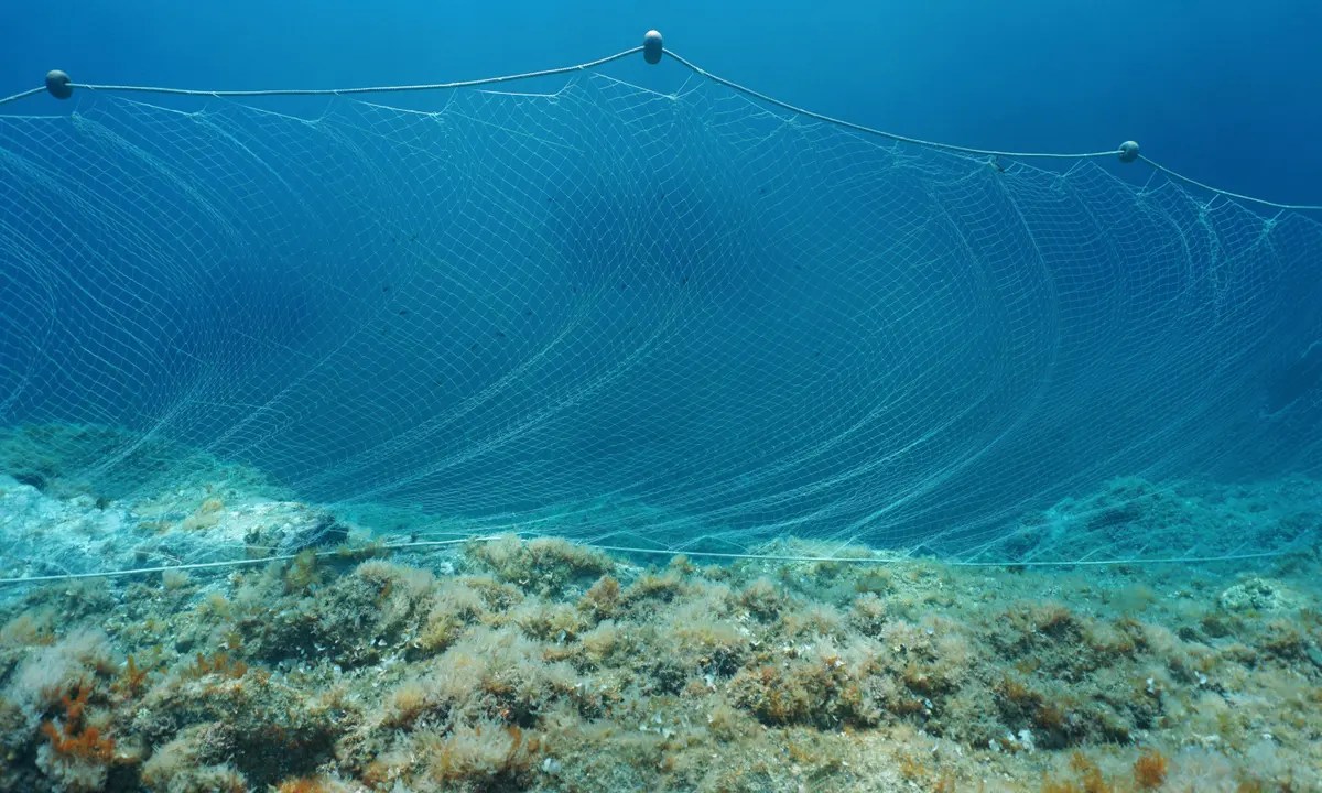 Fishing nets the doubleedged plastic swords in our ocean