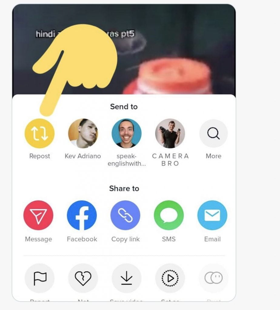 Você pode ver quem visualizou seu TikTok Perfil? ZERO