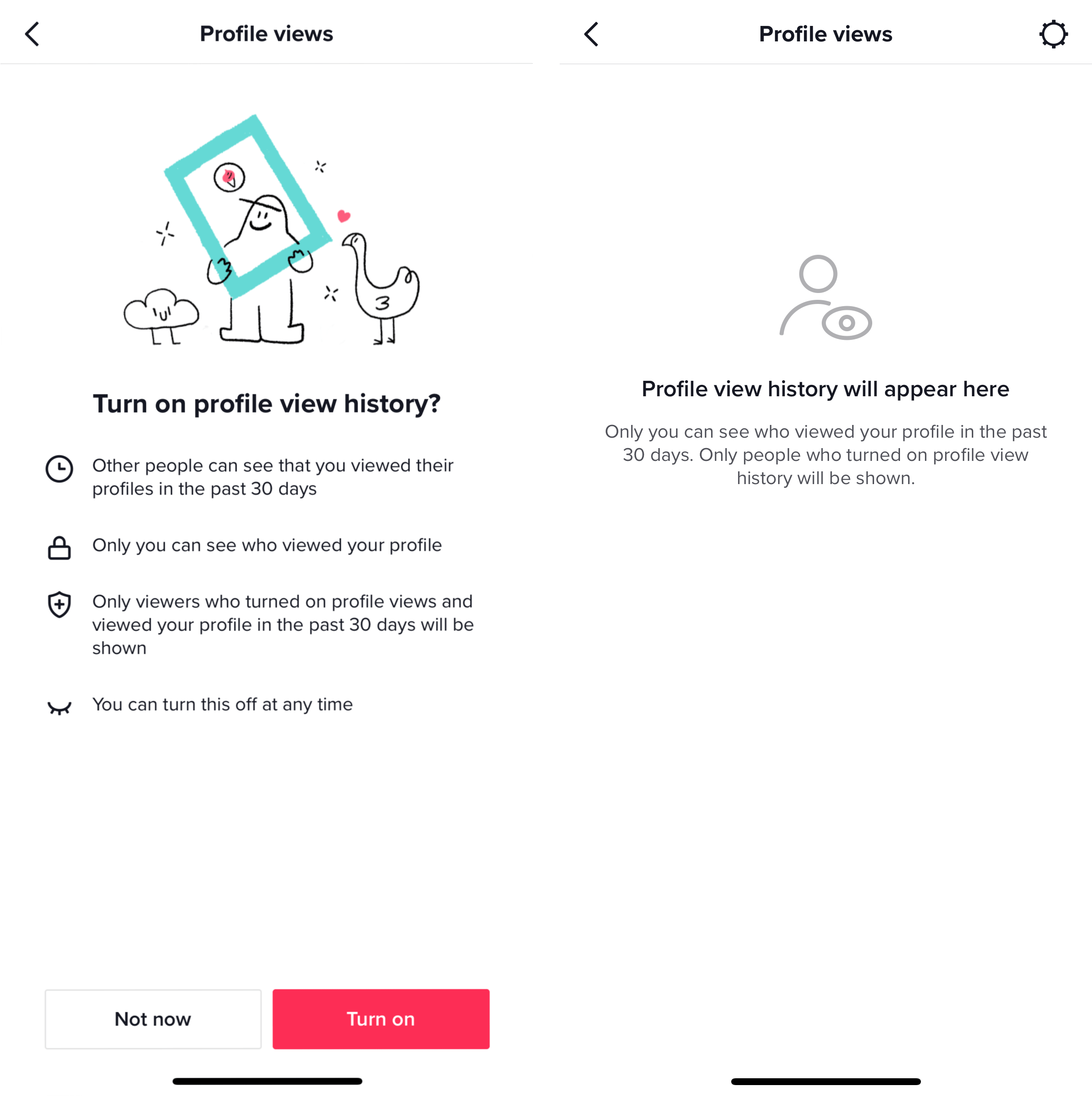 What Are the TikTok Aesthetics? ZERU