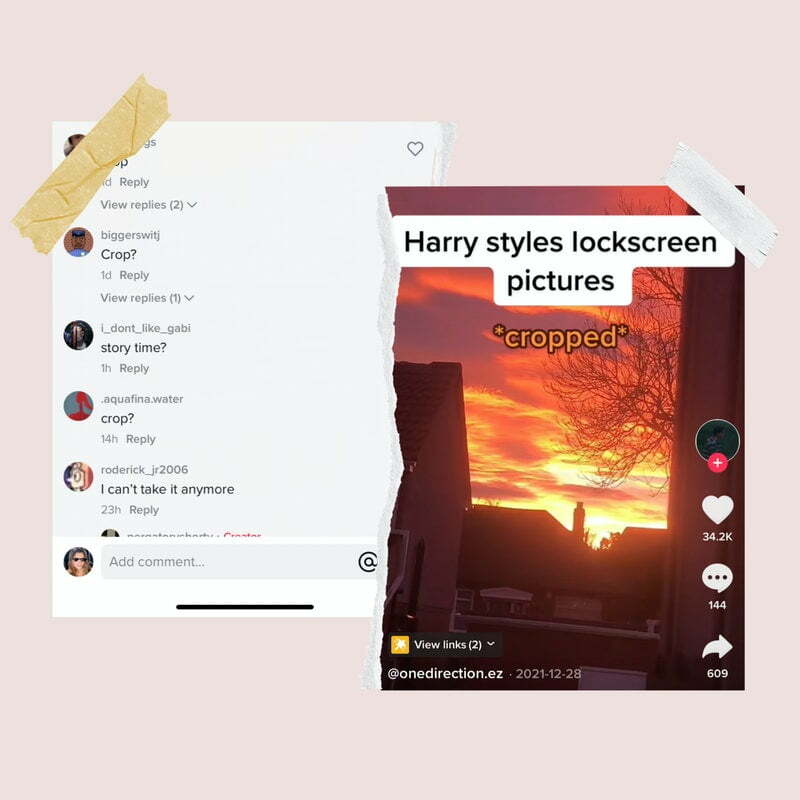 What Does Crop on TikTok Mean? Zeru