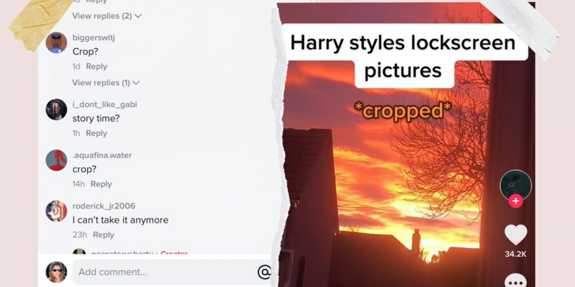 What is Crop on TikTok? Zeru