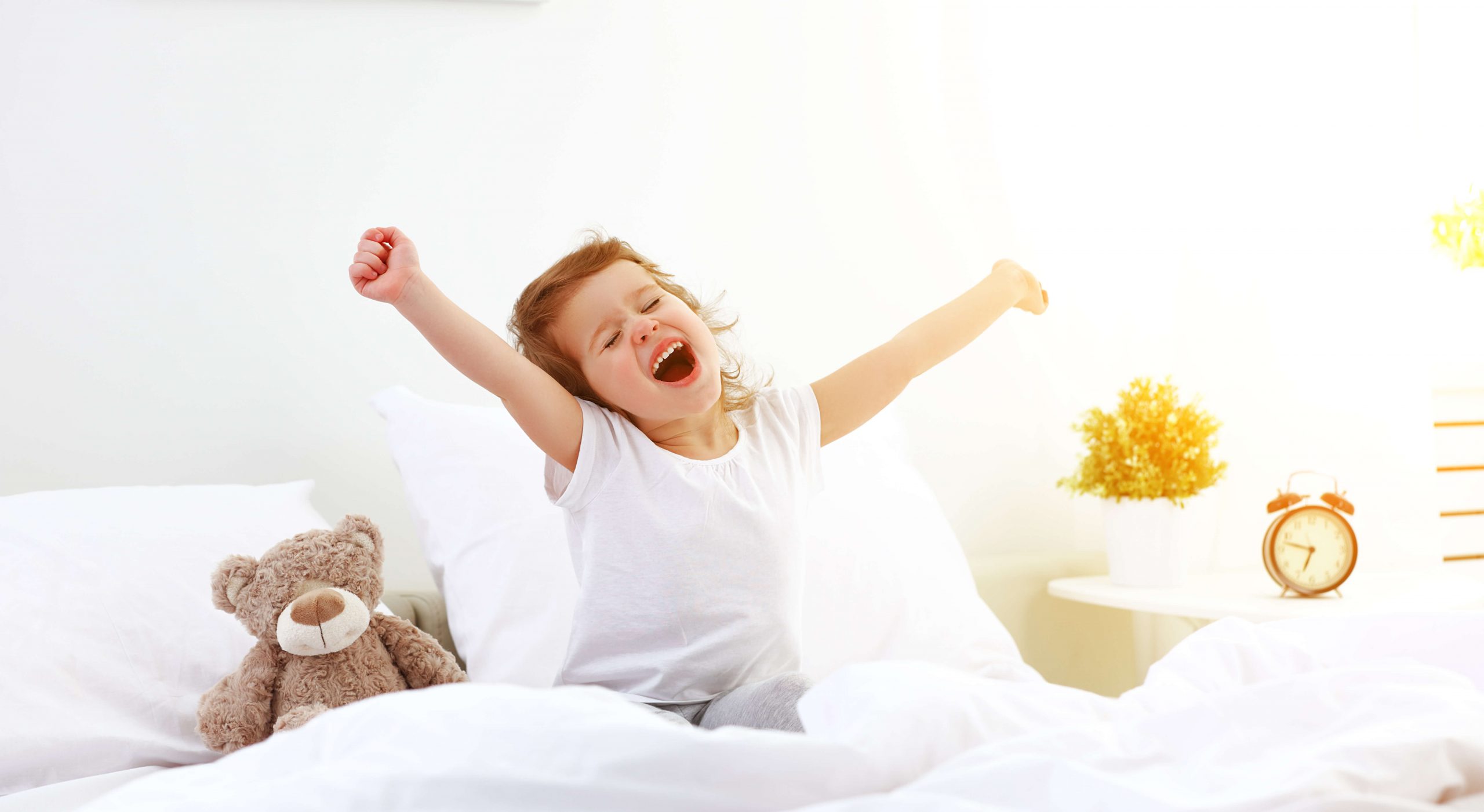 Zest Bedwetting Alarm Zest Bedwetting Alarm