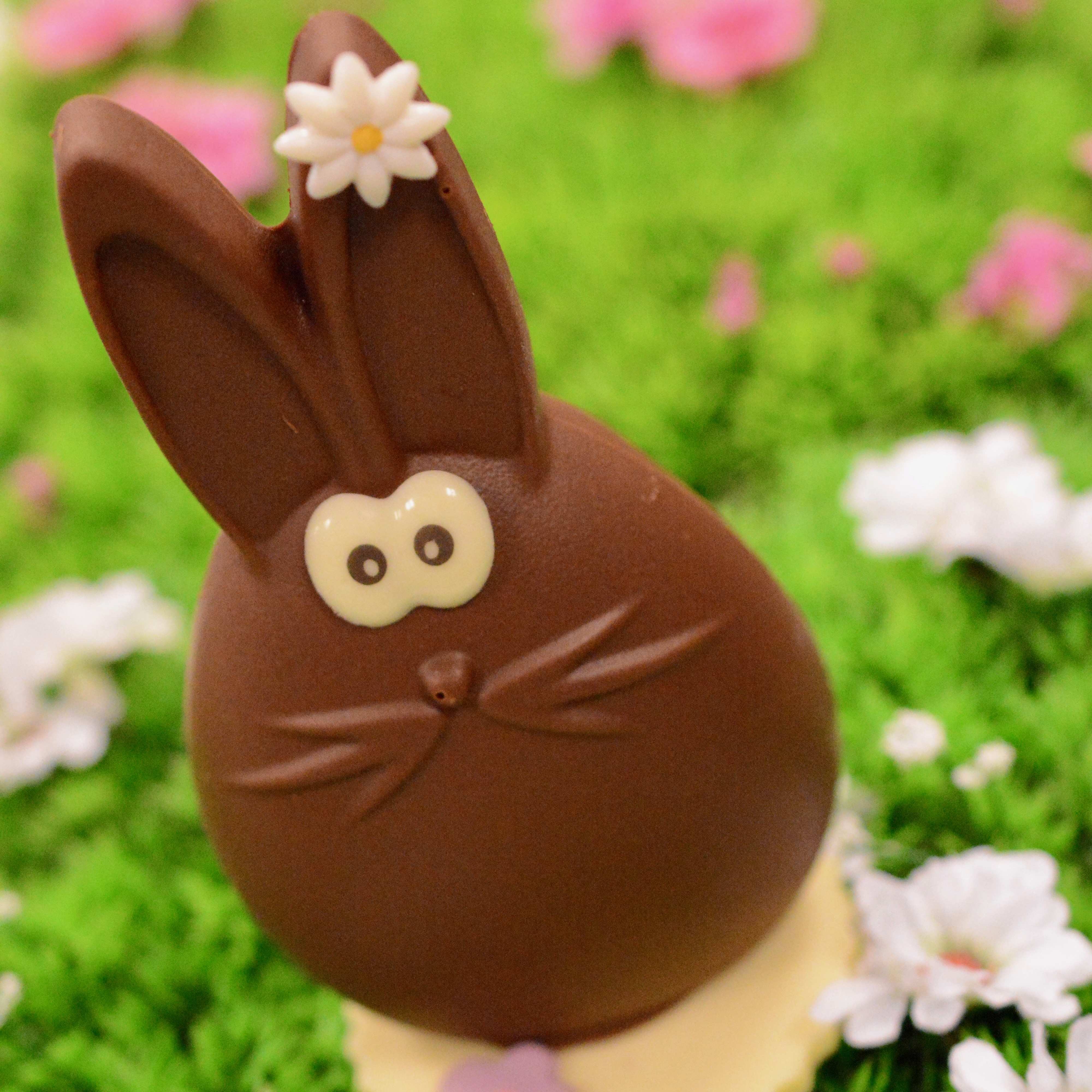 Lapin en chocolat au lait Zest de gourmandise