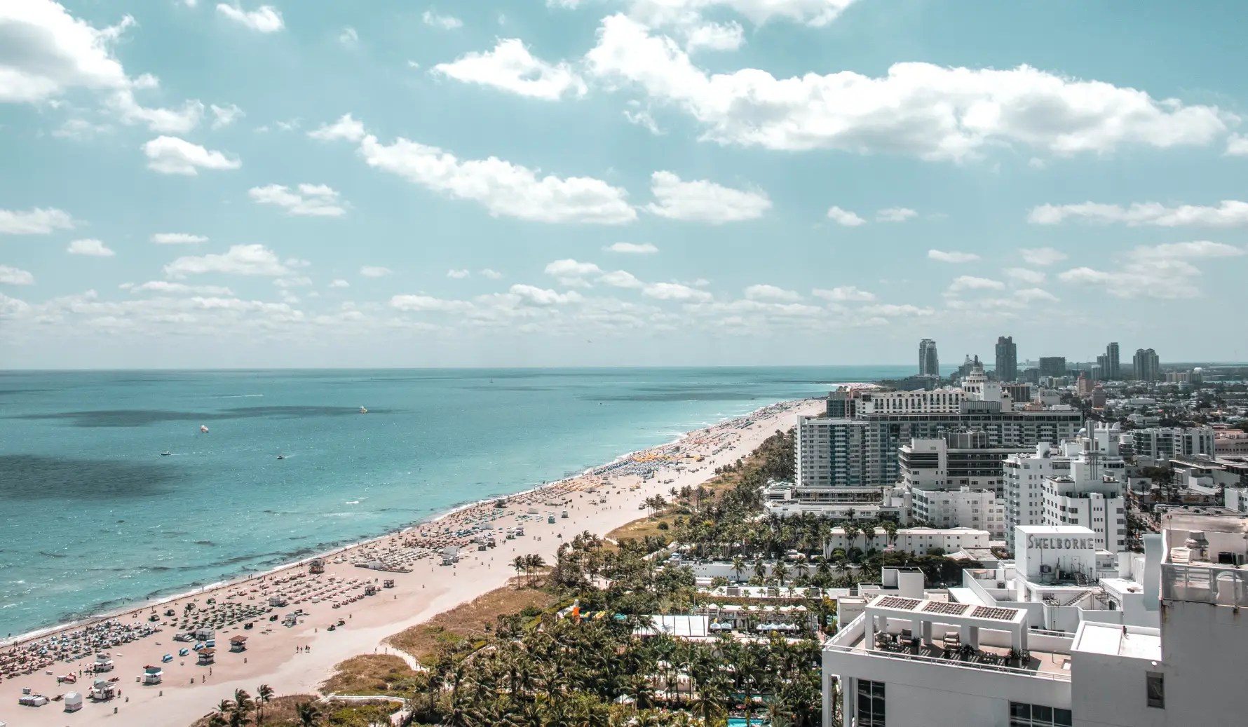 Contact Us Dr. Z Face Plastic Surgery