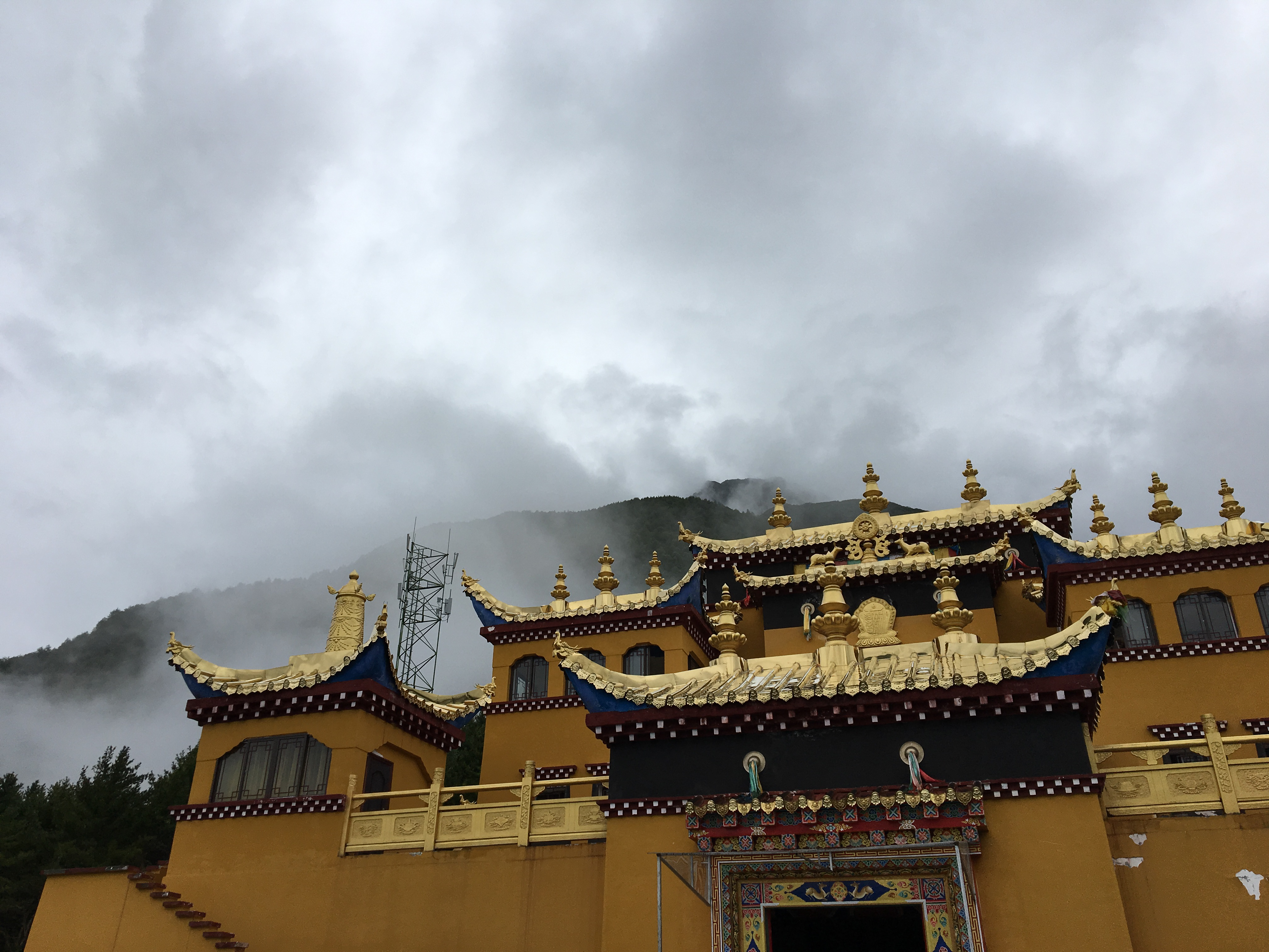 StephanieRubesh-3404