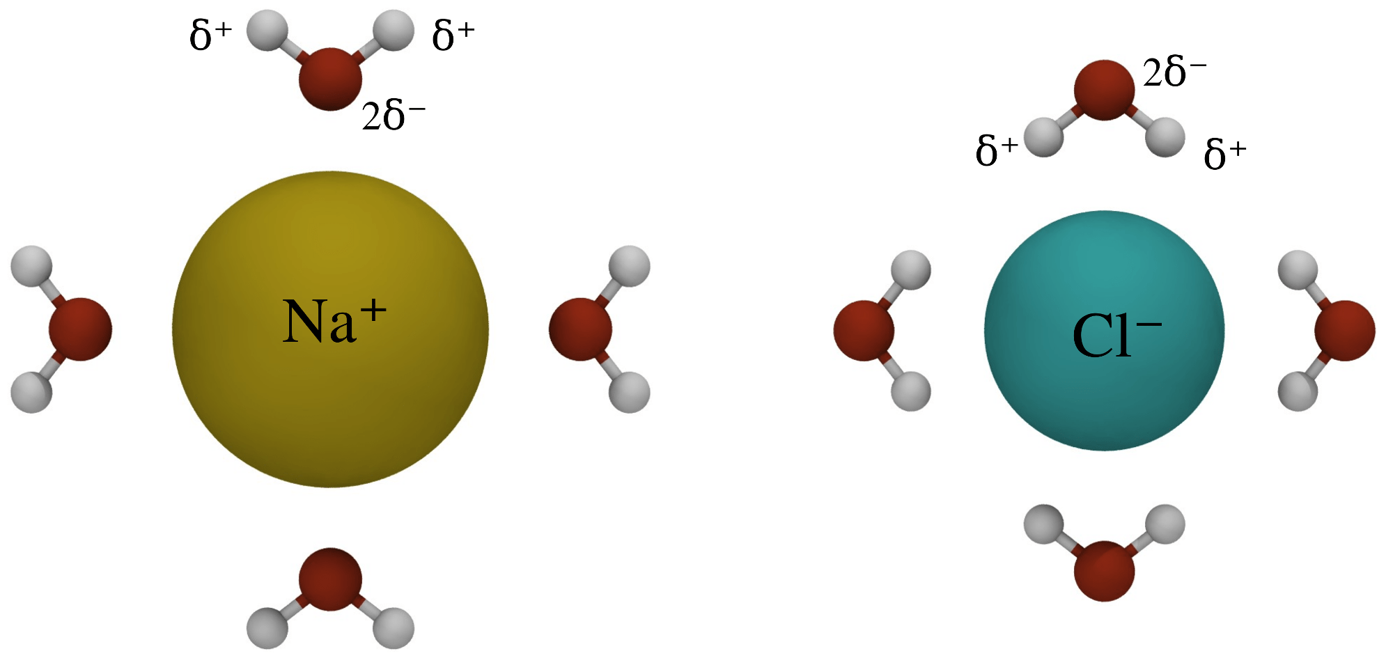 Water molecule — MD simulations documentation