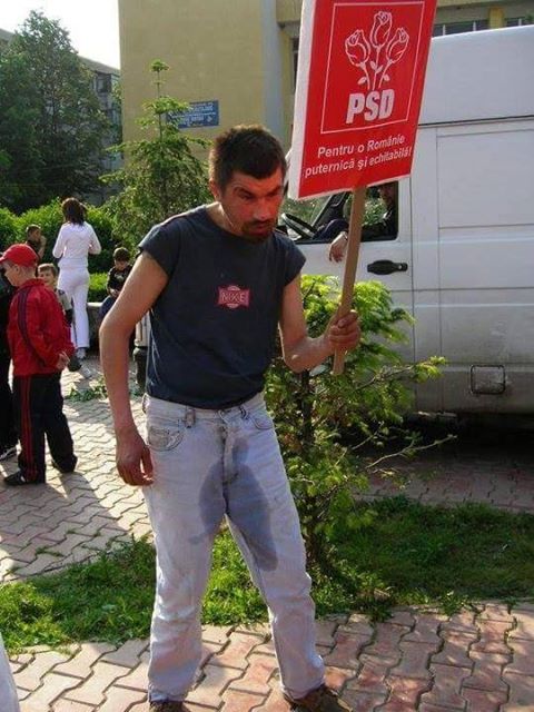 Imagini pentru votantii psd