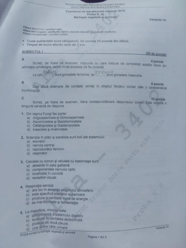 Subiecte Bacalaureat 2016 Biologie VegetalÄ Èi AnimalÄ Proba La Alegere A Profilului Èi SpecializÄrii Sistemul Digestiv La Mamifere CombinaÈii De Factori Ereditari DupÄ IncruciÈarea A Doua Plante Ziarul Unirea
