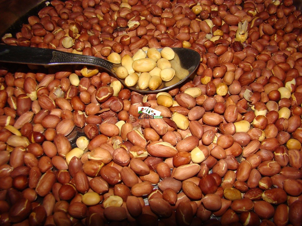 How To Roast Peanuts In Oven Ziba Kitchen ( Dast Pukht Afghani)