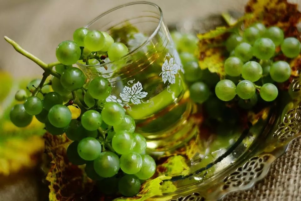 White Wine Everything You Need To Know ZigaZoga
