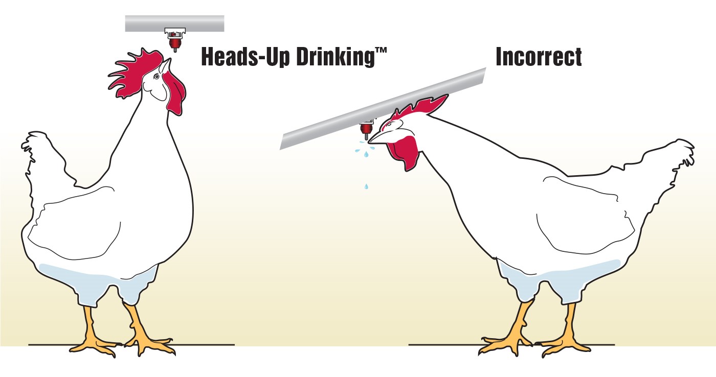 HeadsUp Drinking™ Ziggity Systems