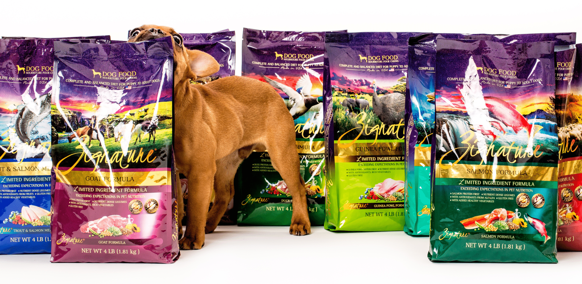 Free Bag of Zignature Dog Food Sample
