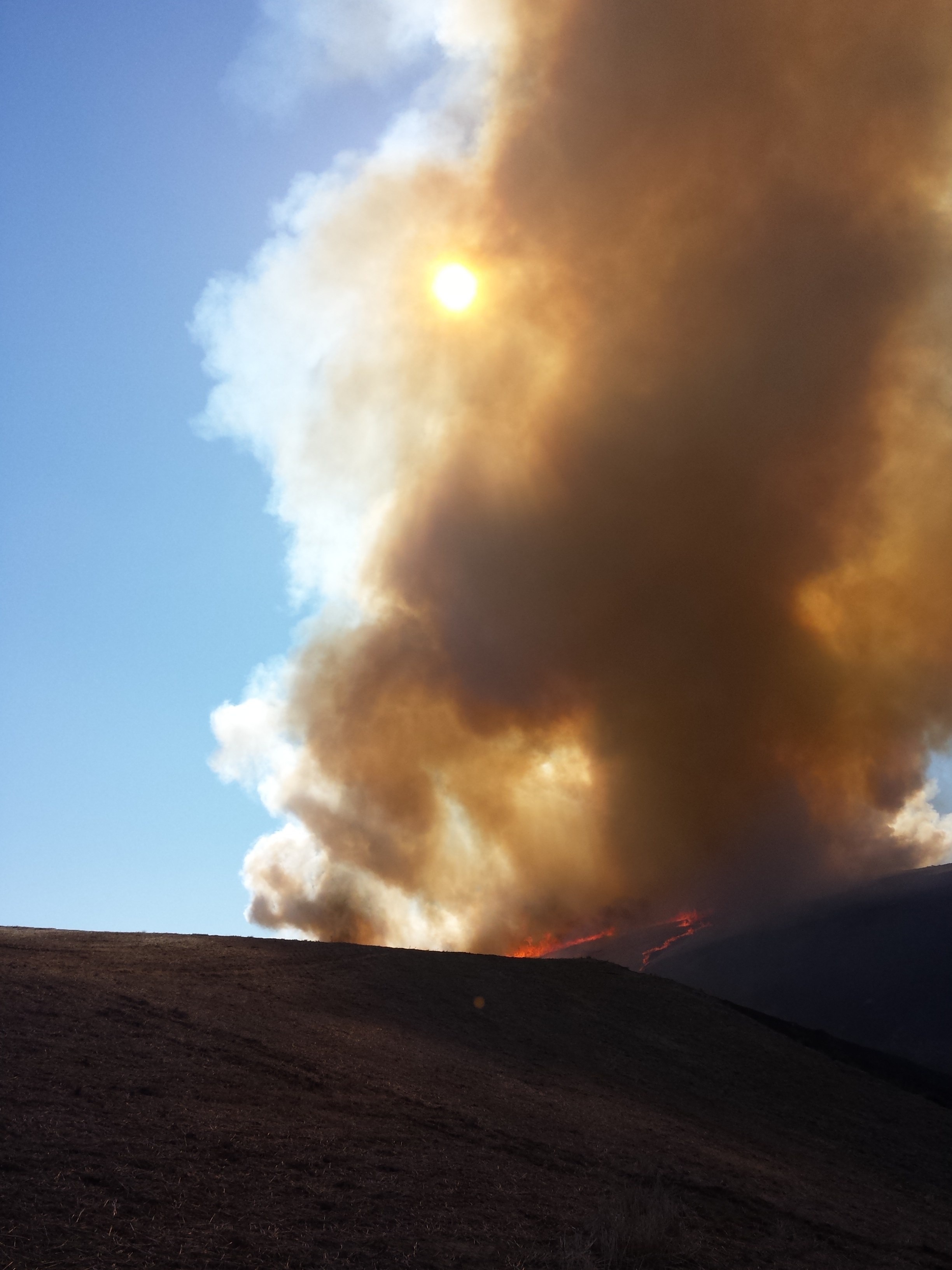 MiltonFreewater, Oregon Firefighters Save Several Homes from Burning