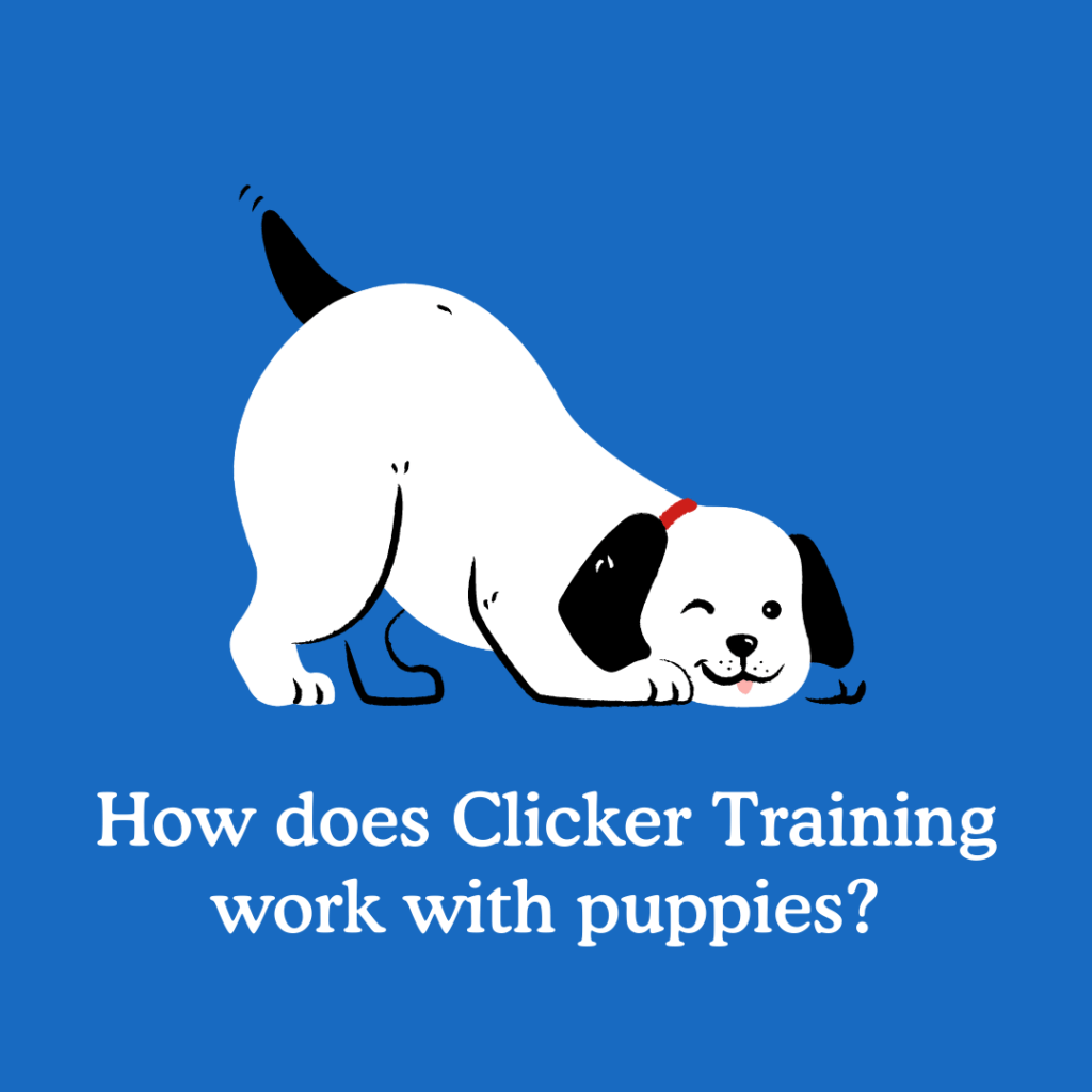 Clicker Training for Puppies Zigzag Puppy Training App