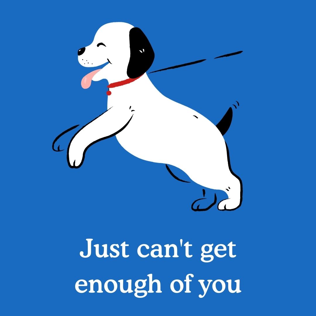 How Does A Dog Get Separation Anxiety