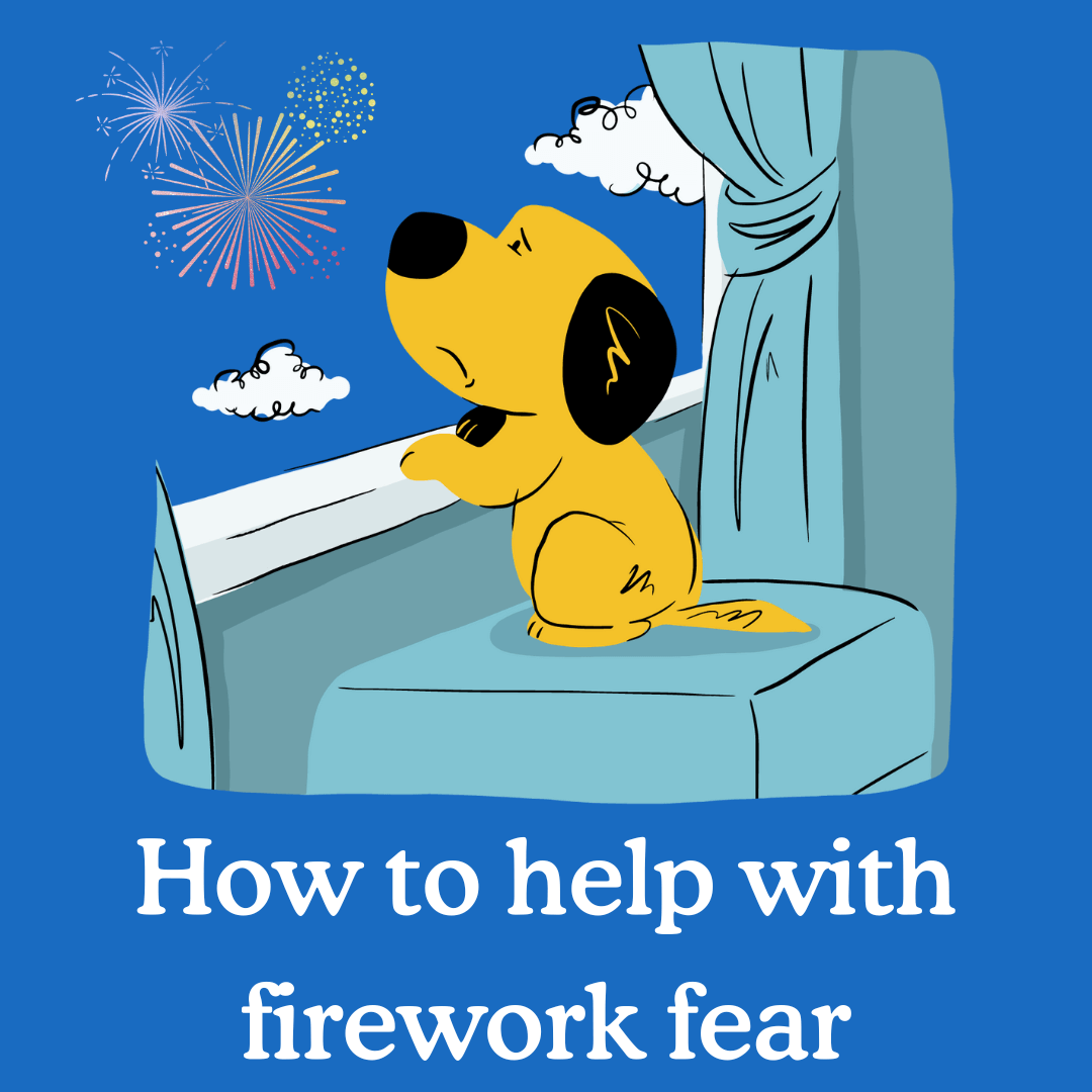 Why Dogs Are Scared of Fireworks Zigzag