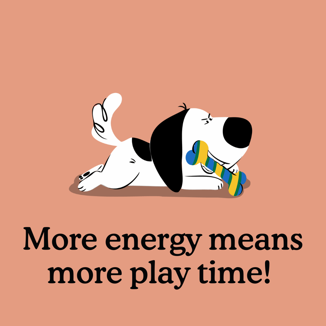 50+ Puppy & Dog Training Games for Any Scenario Zigzag