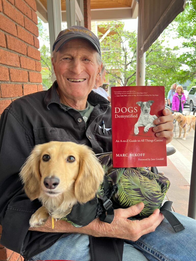 How to give a puppy the very best life possible by Mark Bekoff Zigzag