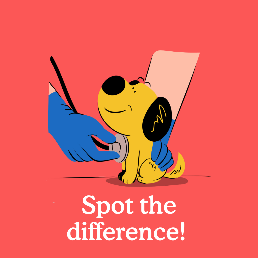 5 Benefits of Puppy Insurance You Need to Know About Zigzag