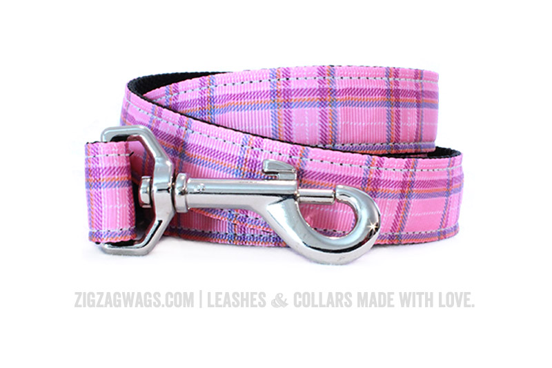 Nylon Dog Collars & Leashes For Dogs of All Shapes and Sizes