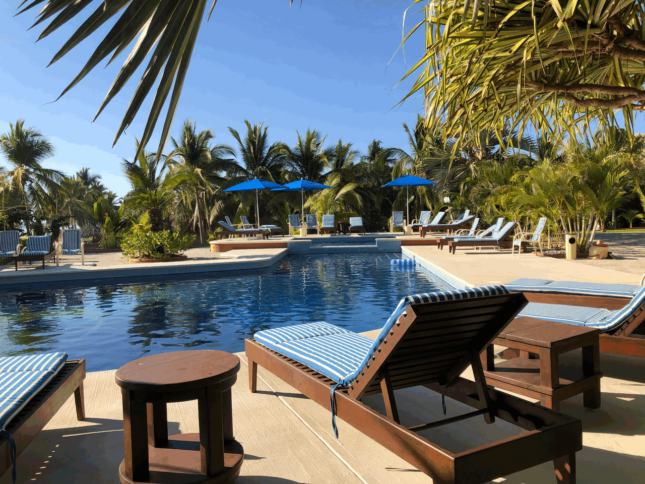 Majahua Palms Hotel Properties Zihuatanejo Ixtapa Zihua Dreams