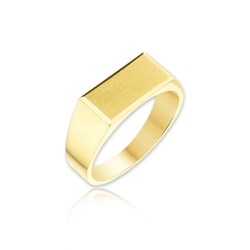 Gouden Heren Ring - Zilver.nl