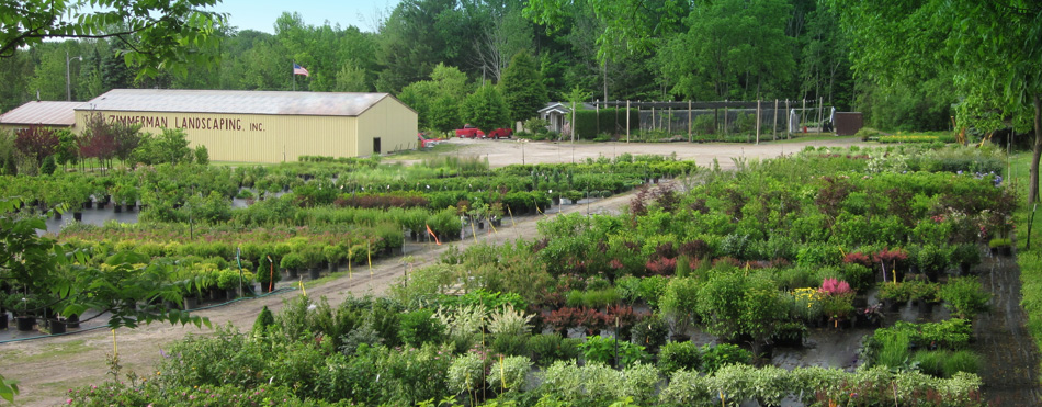 Residential Landscaping, Commercial Landscapers, Nursery, Shrubs