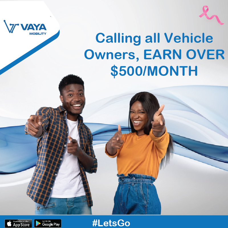 If you have a car you can earn over US500/month Vaya Zimpricecheck