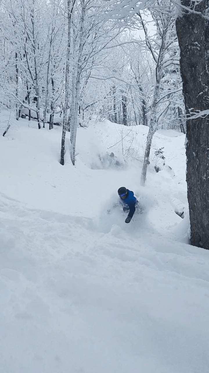 Tips for Tree Skiing Zimmermans Nashua NH Ski and Snowboards