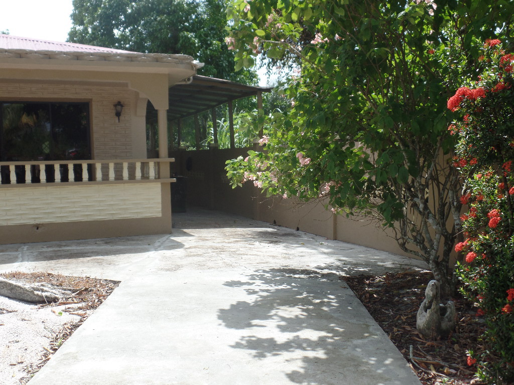 3 BEDROOM HOUSE BAGOTVILLE W.B.D (RENTED) Zinctop Realty