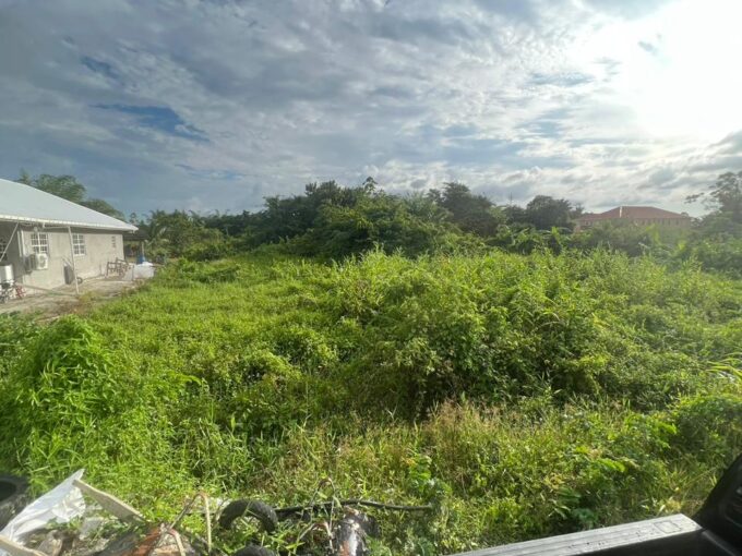 LAND FOR SALE GOOD HOPE PHASE 2 ECD Zinctop Realty