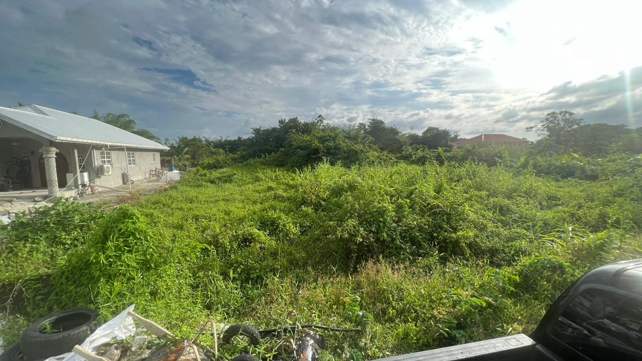 LAND FOR SALE FRIENDSHIP E.B.D Zinctop Realty