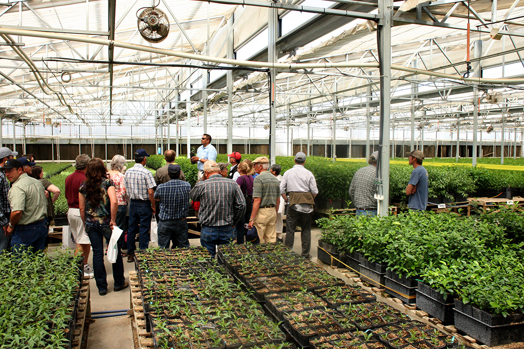 Duarte Nursery, Inc. ZAP