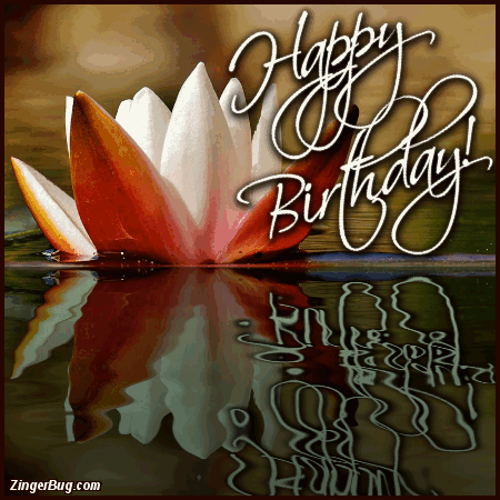 Happy Birthday Lily Gif Novocom Top