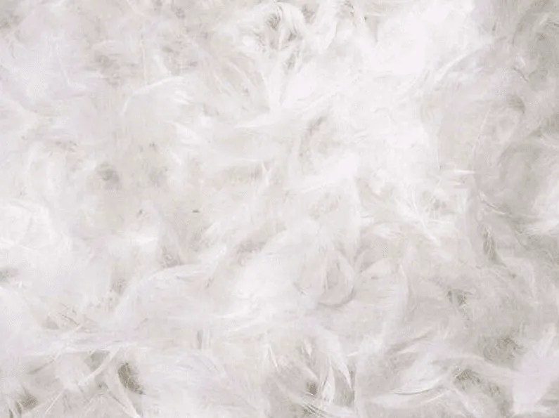 Top 6 Sofa Stuffing Materials Battle zingsourcing