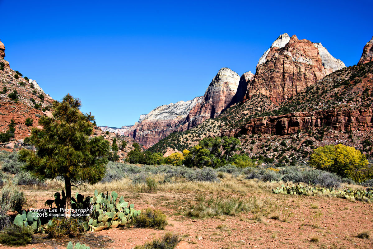 Zion Utah Real Estate April Gates Real Estate Zion, Utah