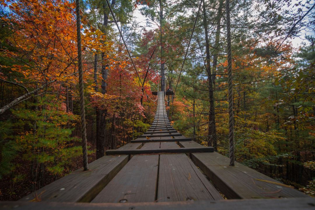 Blue Ridge Zipline Gallery